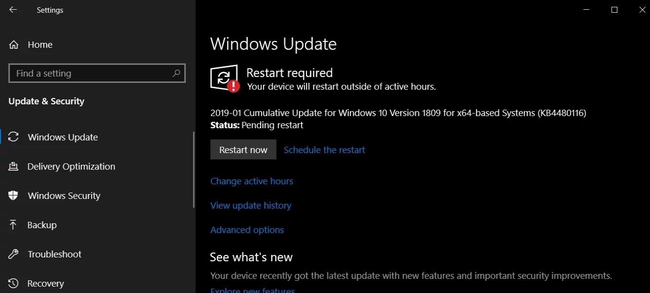 January 2019 updates KB4480116 