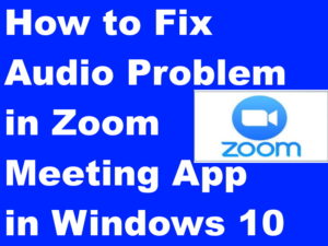audio in zoom meeting app