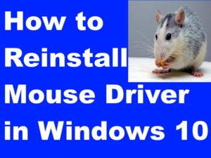 reinstall mouse driver