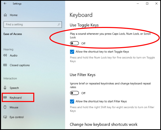 use toggle keys windows 10