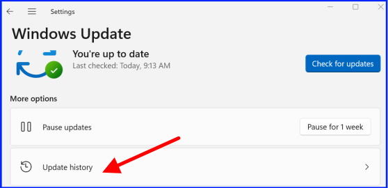 Windows 11 update history