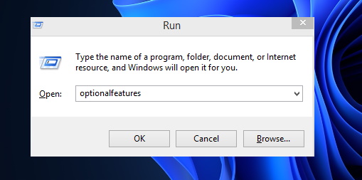 Windows 11 optional feature