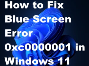 Blue Screen Error 0xc0000001