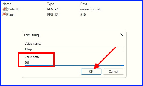 Flags value data