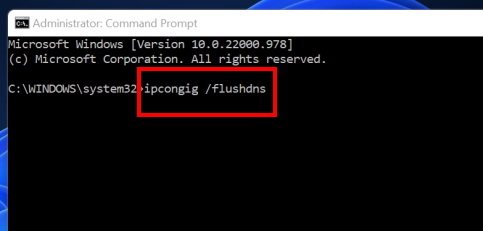 flush dns cache