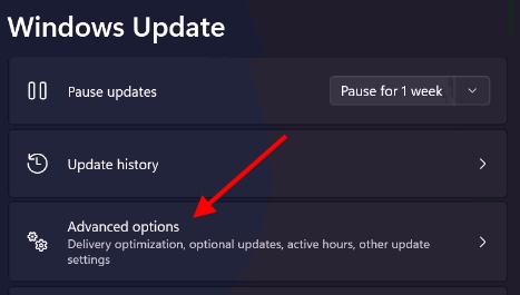 Windows update advanced option