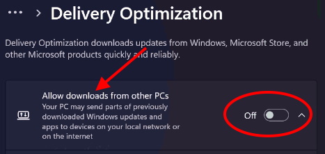 Allow downloads from other PCs