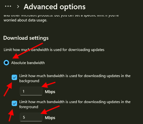 absolute bandwidth windows 11