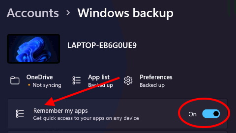 Remember my app settings windows 11