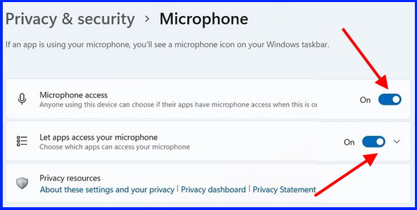 app permission Microphone